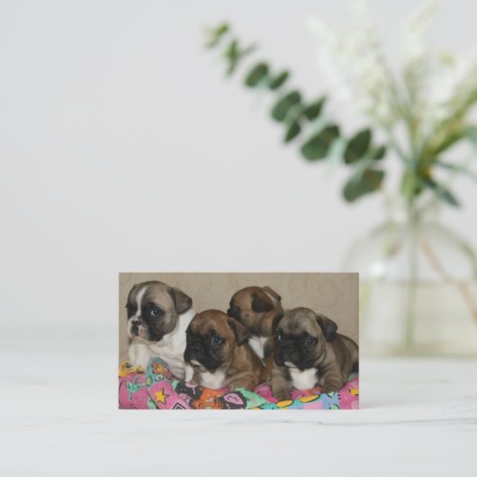 Französische Bulldoggen Kissen French Bulldog Visitekaartje (Staand voorkant)