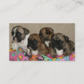Französische Bulldoggen Kissen French Bulldog Visitekaartje (Voorkant)