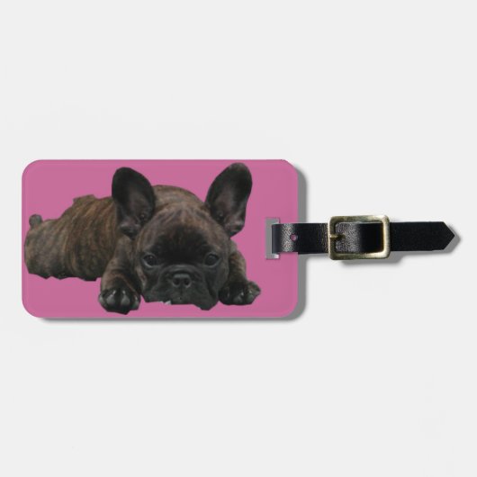 Französische Bulldoggen Kofferanhänger Bagagelabel (Voorkant horizontaal)