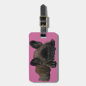 Französische Bulldoggen Kofferanhänger Bagagelabel (Voorkant verticaal)