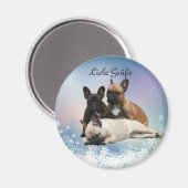Französische Bulldoggen Magnet (Voorkant / Achterkant)