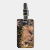 Französische Bulldoggen Mastiff Kofferanhänger Bagagelabel (Voorkant verticaal)