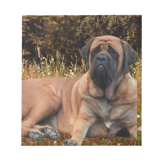 Französische Bulldoggen Mastiff Notizblock Notitieblok (Voorkant)