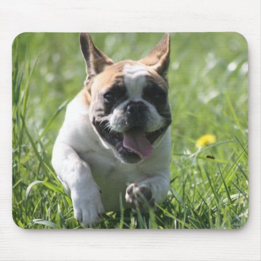 Französische Bulldoggen Mousepad Muismat (Voorkant)