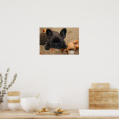 Französische Bulldoggen Poster (Keuken)