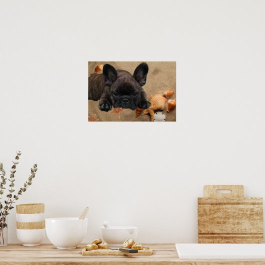 Französische Bulldoggen Poster (Keuken)