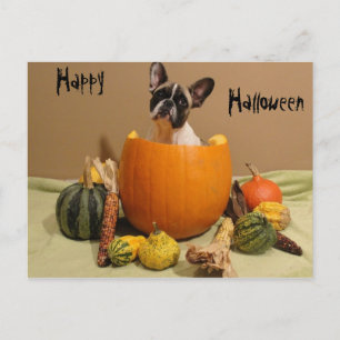 Französische Bulldoggen Postkarte Halloween Briefkaart