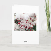 Französische Bulldoggen Postkarte Happy New Year Feestdagen Kaart (Achterkant)