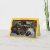 Französische Bulldoggen Postkarte Ostern Feestdagen Kaart (Voorkant)