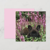 Französische Bulldoggen Postkarte Thank You Kaart (Voorkant / Achterkant)