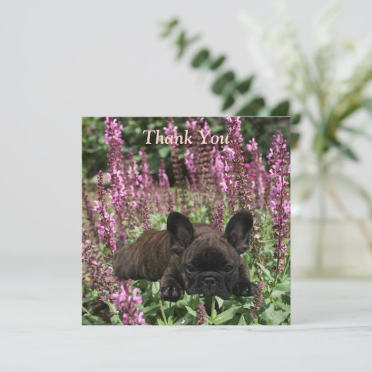 Französische Bulldoggen Postkarte Thank You Kaart (Staand voorkant)