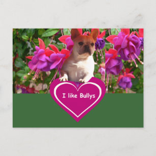 Französische Bulldoggen Postkarten Briefkaart