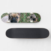 Französische Bulldoggen Skateboard (Horizontaal)