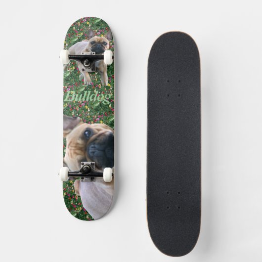 Französische Bulldoggen Skateboard (Voorkant)
