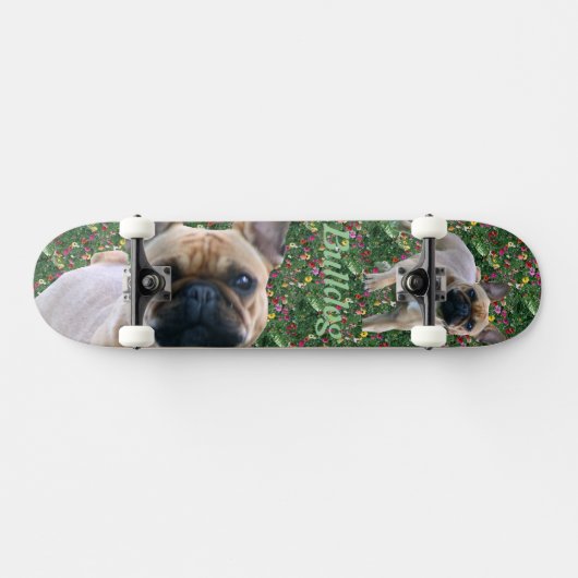 Französische Bulldoggen Skateboard (Horizontaal)