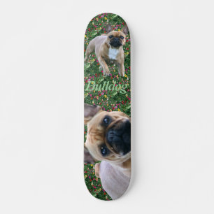 Französische Bulldoggen Skateboard