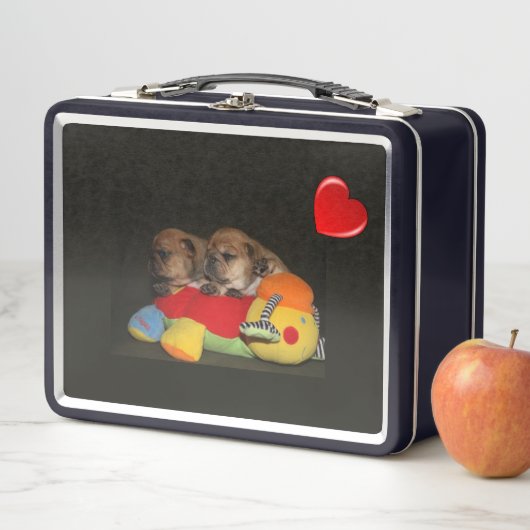 Französische Bulldoggen süße Welpen Christmas (In situ)