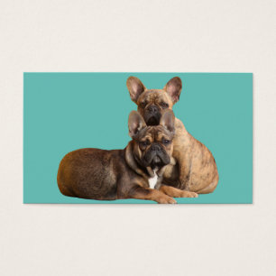 Französische Bulldoggen Visitenkarten Visitekaartje