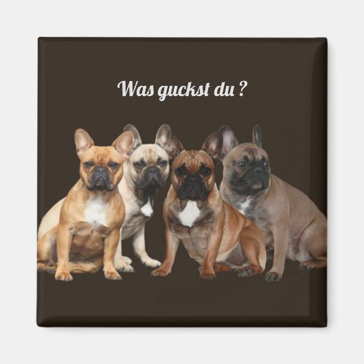 Französische Bulldoggen Was guckst du, Magneet (Voorkant)