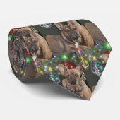 Französische Bulldoggen Weihnachten Krawatte Stropdas (Opgerold)