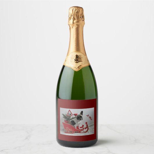 Französische Bulldoggen Weihnachten Sparkling Wine Sparkling Wijnetiket (Voorkant)