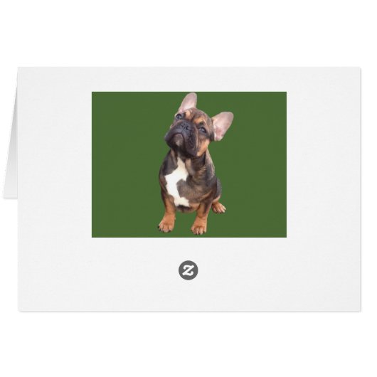 Französische Bulldoggen Weihnachtskarte (Achterkant Horizontaal)
