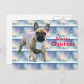 Französische Bulldoggen Weihnachtskarte Feestdagenkaart (Voorkant / Achterkant)