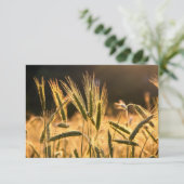 Frarm Fresh Wheat Field Bedankkaart (Staand voorkant)