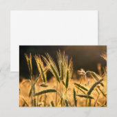 Frarm Fresh Wheat Field Bedankkaart (Voorkant / Achterkant)