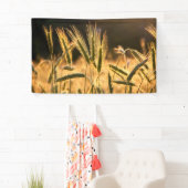 Frarm Fresh Wheat Field Spandoek (Insitu)
