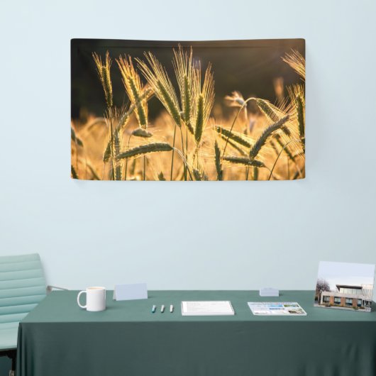 Frarm Fresh Wheat Field Spandoek (Beurs)