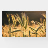 Frarm Fresh Wheat Field Spandoek (Horizontaal)