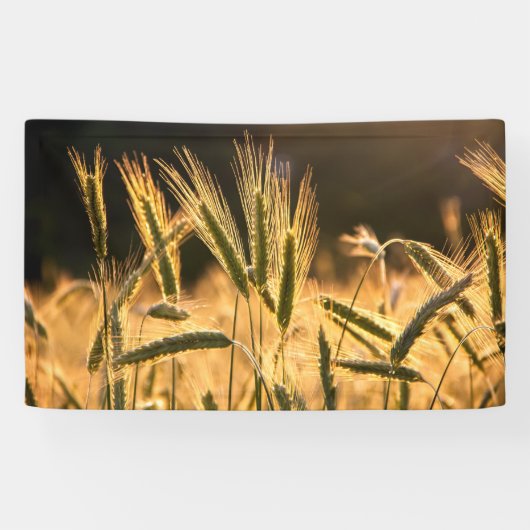 Frarm Fresh Wheat Field Spandoek (Horizontaal)