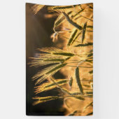 Frarm Fresh Wheat Field Spandoek (Verticaal)