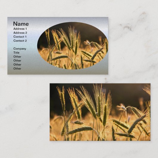 Frarm Fresh Wheat Field Visitekaartje (Voorkant / Achterkant)