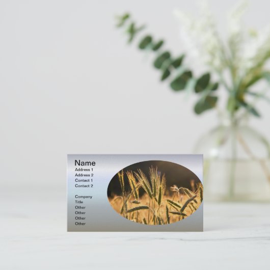 Frarm Fresh Wheat Field Visitekaartje (Staand voorkant)