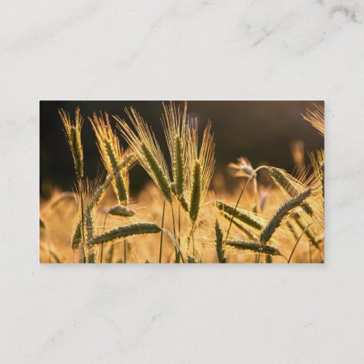 Frarm Fresh Wheat Field Visitekaartje (Achterkant)