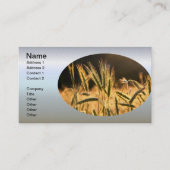 Frarm Fresh Wheat Field Visitekaartje (Voorkant)