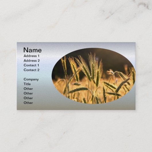 Frarm Fresh Wheat Field Visitekaartje (Voorkant)