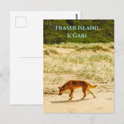 Fraser Island / Briefkaart K'Gari (Voorkant / Achterkant)