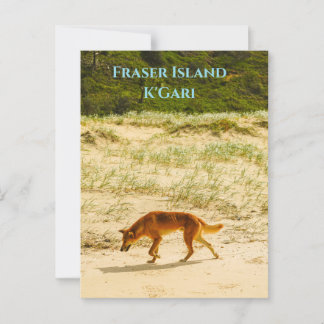 Fraser Island / Briefkaart K'Gari