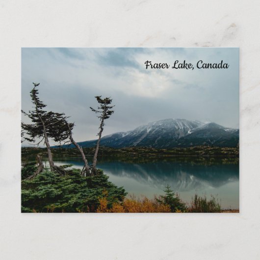 Fraser Lake, Canada Briefkaart (Voorkant)