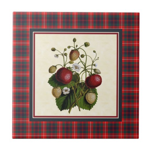 Fraser van Lovat Modern Tartan met Aardbei Tegeltje (Voorkant)