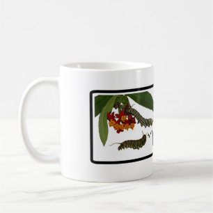 Frasses gebeuren mok