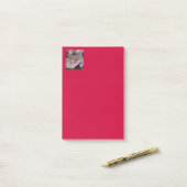 Fraterij met verse vis post-it® notes (Op bureau)