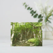 Frazier Discovery Trail bij Shenandoah-fotografie Briefkaart (Staand voorkant)