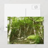 Frazier Discovery Trail bij Shenandoah-fotografie Briefkaart (Voorkant / Achterkant)