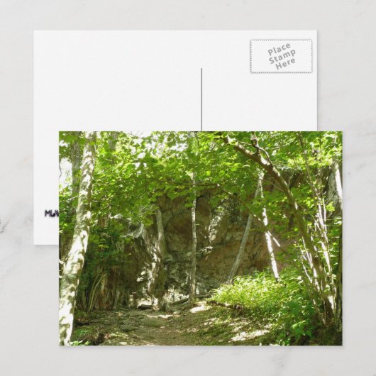 Frazier Discovery Trail bij Shenandoah-fotografie Briefkaart (Voorkant / Achterkant)