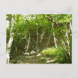 Frazier Discovery Trail bij Shenandoah-fotografie Briefkaart