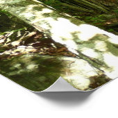 Frazier Discovery Trail bij Shenandoah Photography Poster (Hoek)